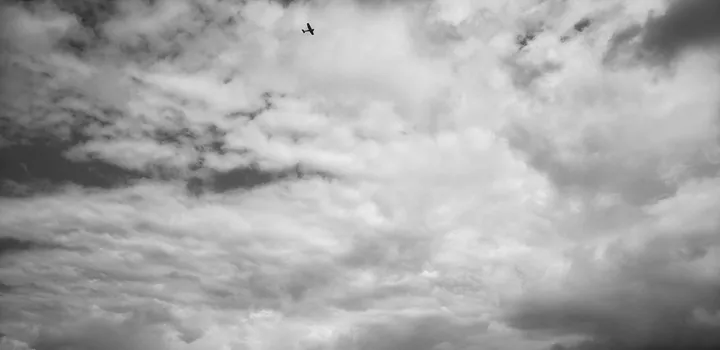 Flight Through Clouds